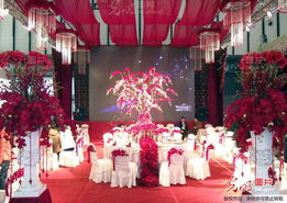 南京冬季婚慶采購訂單潮涌來，結婚服務市場呈專業化和高質量新動能觀